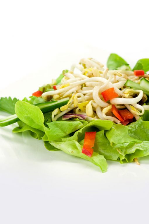 Recettes Lev Diet® — Your Nutrition Experts Salade de Pousses de Soja